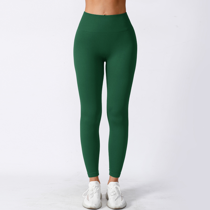 Sculpting High Waist Yoga Pants with Soft Compression and Sleek Fit Look