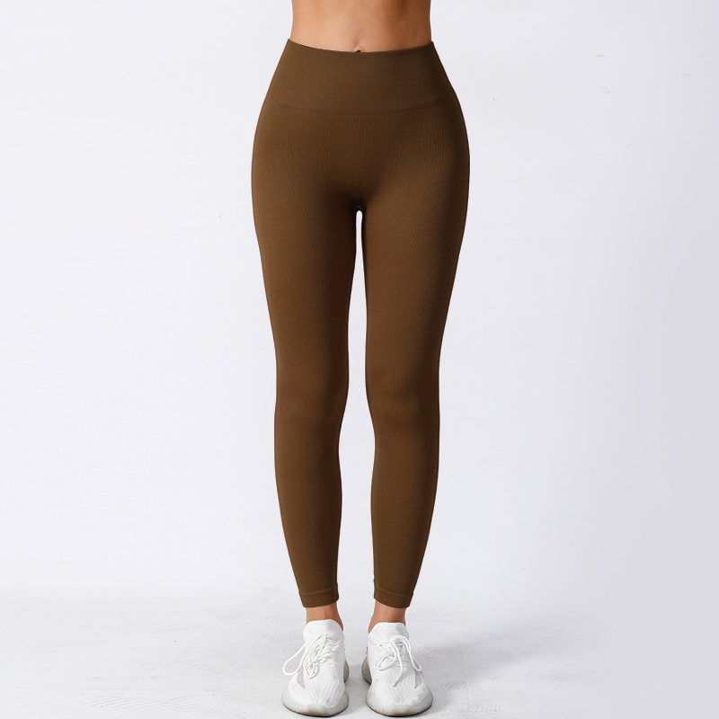 Sculpting High Waist Yoga Pants with Soft Compression and Sleek Fit Look
