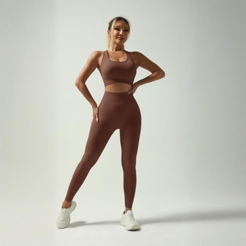 Elegant Lavender Seamless High Waist Non-Slip Sports Suits